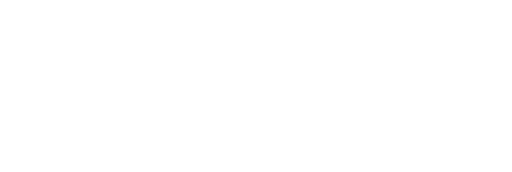 Ansys